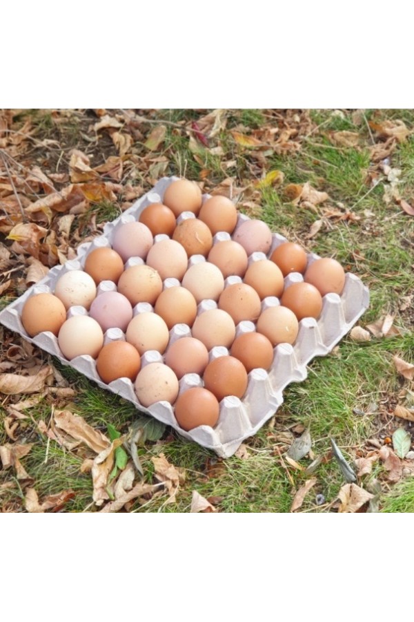 30 Adet Yumurta